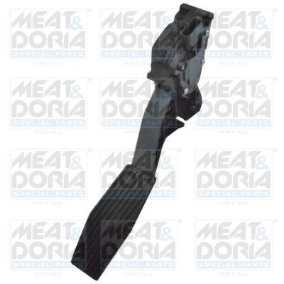 Accelerator Pedal Unit